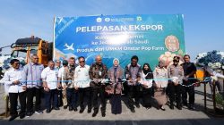 PT Onstar Pop Farm Kirim 10,2 Ton Kemiri Luwu ke Jeddah: Berawal dari Produksi Sederhana, Kini Ekspor ke Jeddah