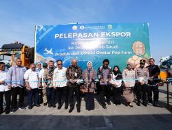PT Onstar Pop Farm Kirim 10,2 Ton Kemiri Luwu ke Jeddah: Berawal dari Produksi Sederhana, Kini Ekspor ke Jeddah