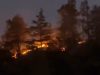 Si Jago Merah Mengamuk di Hutan Pinus Malino: Dua Hektare Lahan Terbakar, Tim Gabungan Siaga Penuh