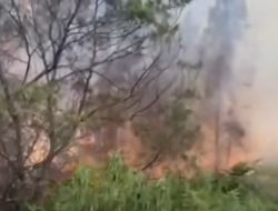 Kawasan Bromo Terbakar Hebat, Puan: Padamkan Api Secepat Mungkin, Keselamatan Warga yang Utama