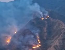 Kebakaran Hutan di Kawasan Gunung Nona Enrekang Capai 10 Hektar