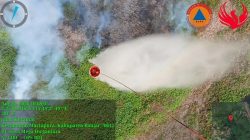 Lima Pesawat OMC TNI AU Diterbangkan untuk Tangani Karhutla di Kalimantan