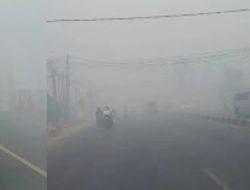 Dampak Karhutla Meningkat: Kemenkes Catat 174 Ribu Kasus ISPA, Puluhan Ribu Balita Terdampak