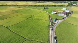 Genjot Produktivitas Petani, Pemprov Sulsel Kebut Proyek Irigasi Rp780 Miliar di 16 Daerah