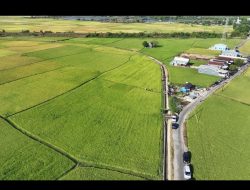 Genjot Produktivitas Petani, Pemprov Sulsel Kebut Proyek Irigasi Rp780 Miliar di 16 Daerah