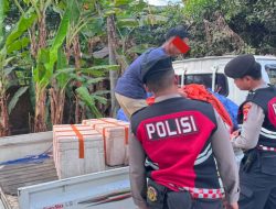 650 Liter Ballo Siap Edar Digagalkan! Polresta Gowa Musnahkan Miras Tradisional Asal Manuju
