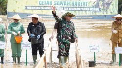Dukung Swasembada Pangan, Kodam XIV/Hasanuddin Cetak 1.998 Hektare Sawah di Sultra