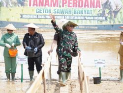 Dukung Swasembada Pangan, Kodam XIV/Hasanuddin Cetak 1.998 Hektare Sawah di Sultra