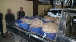 Target Edar di Makassar, 5 Drum Ballo Diangkut Polresta Gowa dari Parangloe