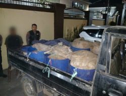 Target Edar di Makassar, 5 Drum Ballo Diangkut Polresta Gowa dari Parangloe