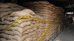 Masuk Lewat Dumai, Puluhan Ton Kacang Tanah Ilegal Disita Polisi di Penjaringan