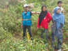 Perkuat Listrik Sulawesi, PLN dan BPN Tinjau Tapak SUTET 275 kV Palopo-Bakaru di 5 Daerah