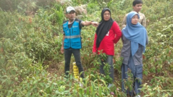 Perkuat Listrik Sulawesi, PLN dan BPN Tinjau Tapak SUTET 275 kV Palopo-Bakaru di 5 Daerah