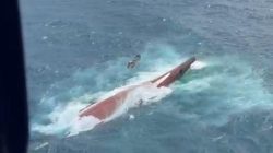 Horor Kapal Virgo Transport 8 Terbalik di Laut Jawa: Tanpa Sirine Warning, Ratusan Penumpang Terjebak dalam Gelap