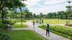Jangan Sepelekan Jalan Kaki, Ahli Saraf Ungkap Sederet Manfaat Luar Biasa untuk Kesehatan Otak