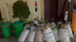 Gerebek Pemasok Ballo Ilegal di Pattallassang, Satsamapta Polresta Gowa Sita 750 Liter Miras Siap Edar