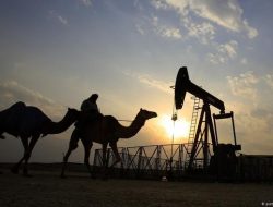 Tekan Dampak Lonjakan Biaya Angkut, Arab Saudi Pangkas Harga Minyak ke Asia ke Level Terendah